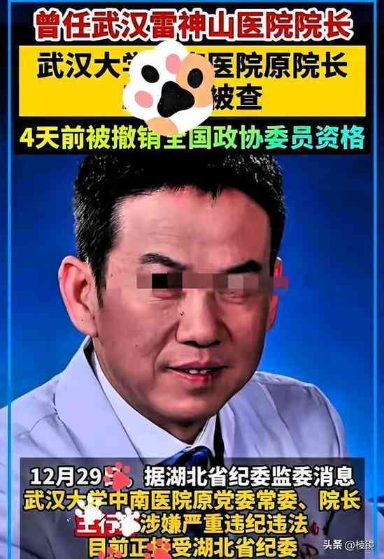  医疗反腐深水区：从王行环案透视医院权力监督的制度盲点 健康养生