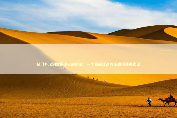 从门外汉到数据达人的蜕变:一个普通球迷的英超观赛进化论 从门外汉到数据达人的蜕变:一个普通球迷的英超观赛进化论 体育新闻