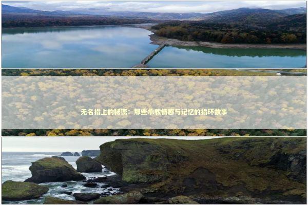 无名指上的秘密:那些承载情感与记忆的指环故事 无名指上的秘密:那些承载情感与记忆的指环故事 情感心理