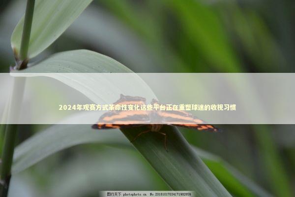 2024年观赛方式革命性变化这些平台正在重塑球迷的收视习惯 2024年观赛方式革命性变化这些平台正在重塑球迷的收视习惯 体育新闻